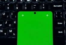 business contact phone number