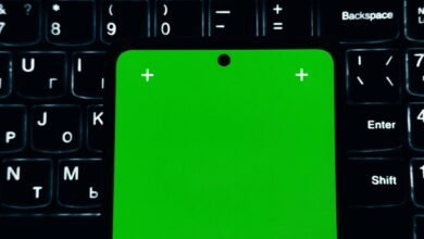 business contact phone number