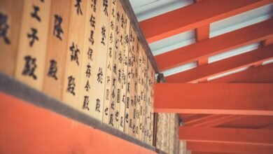 customer support line number