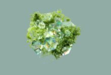 renewable energy stock picks