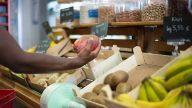 stock picks for gains