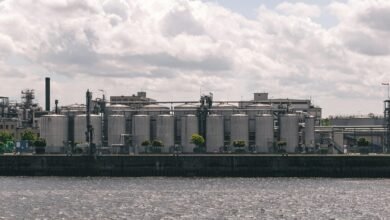 top energy sector stocks