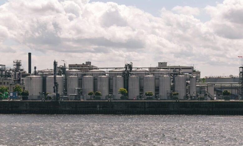 top energy sector stocks