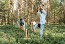 call activity log numbers