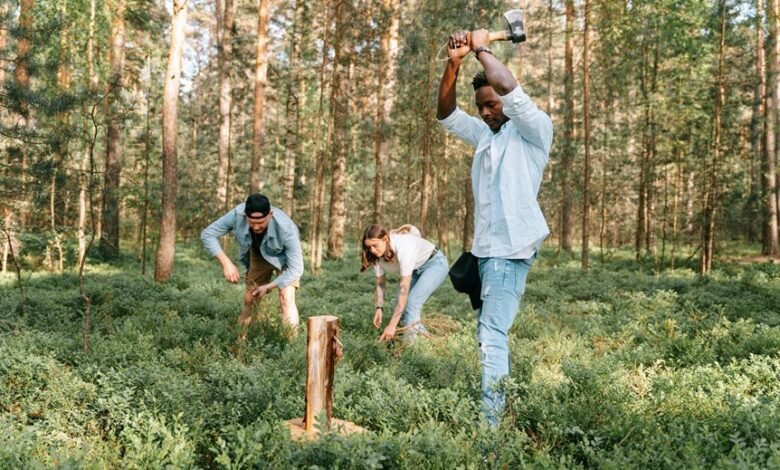 call activity log numbers