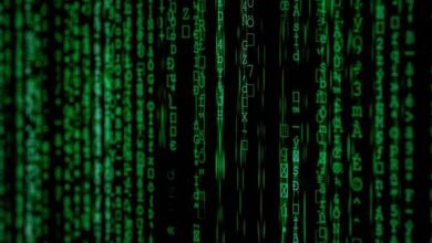 key observations from numbers