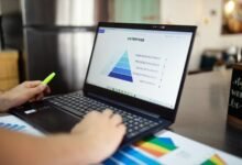 market insights contact numbers