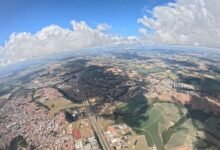 sector development overview summary