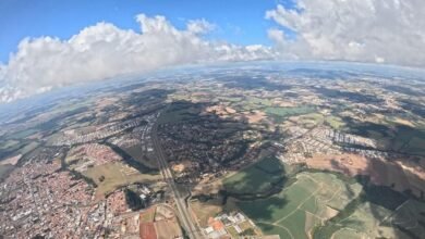 sector development overview summary