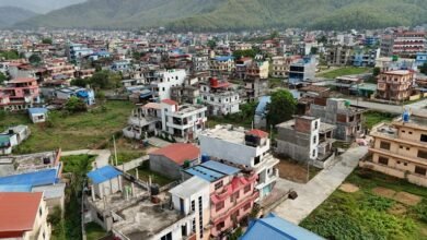 identifier presence overview analysis