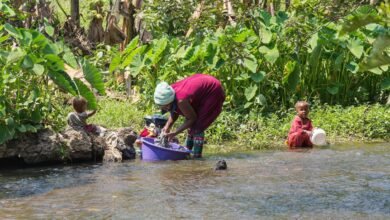 interaction and activity overview