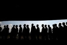 profile metrics analysis overview