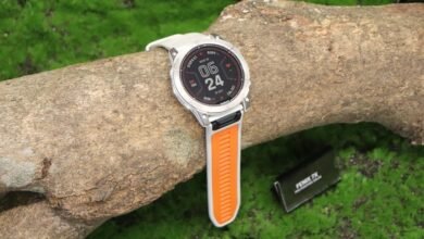 bankroll management and feedback