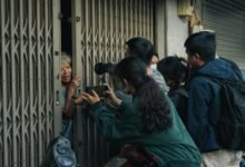 community updates and reports