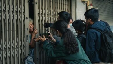 community updates and reports