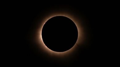 eclipse core profit path