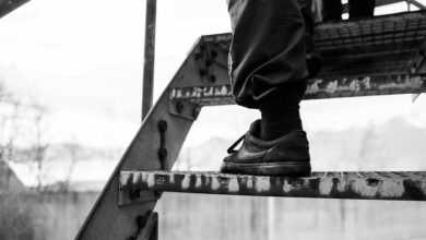 luminous brand ladder 693118212