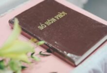 network registry and feedback