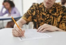 system activity insights review