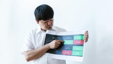 updated insight explanation provided