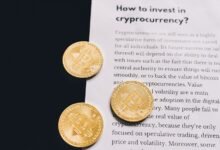 fyona mens robthecoins guide steps