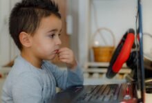privstedelight s growing online attention
