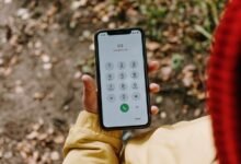 what is 9159003556 guide